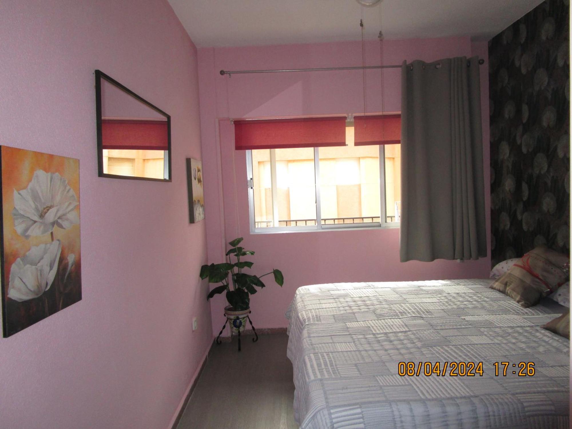 Apartamento Rosamar Torrevieja Exterior foto