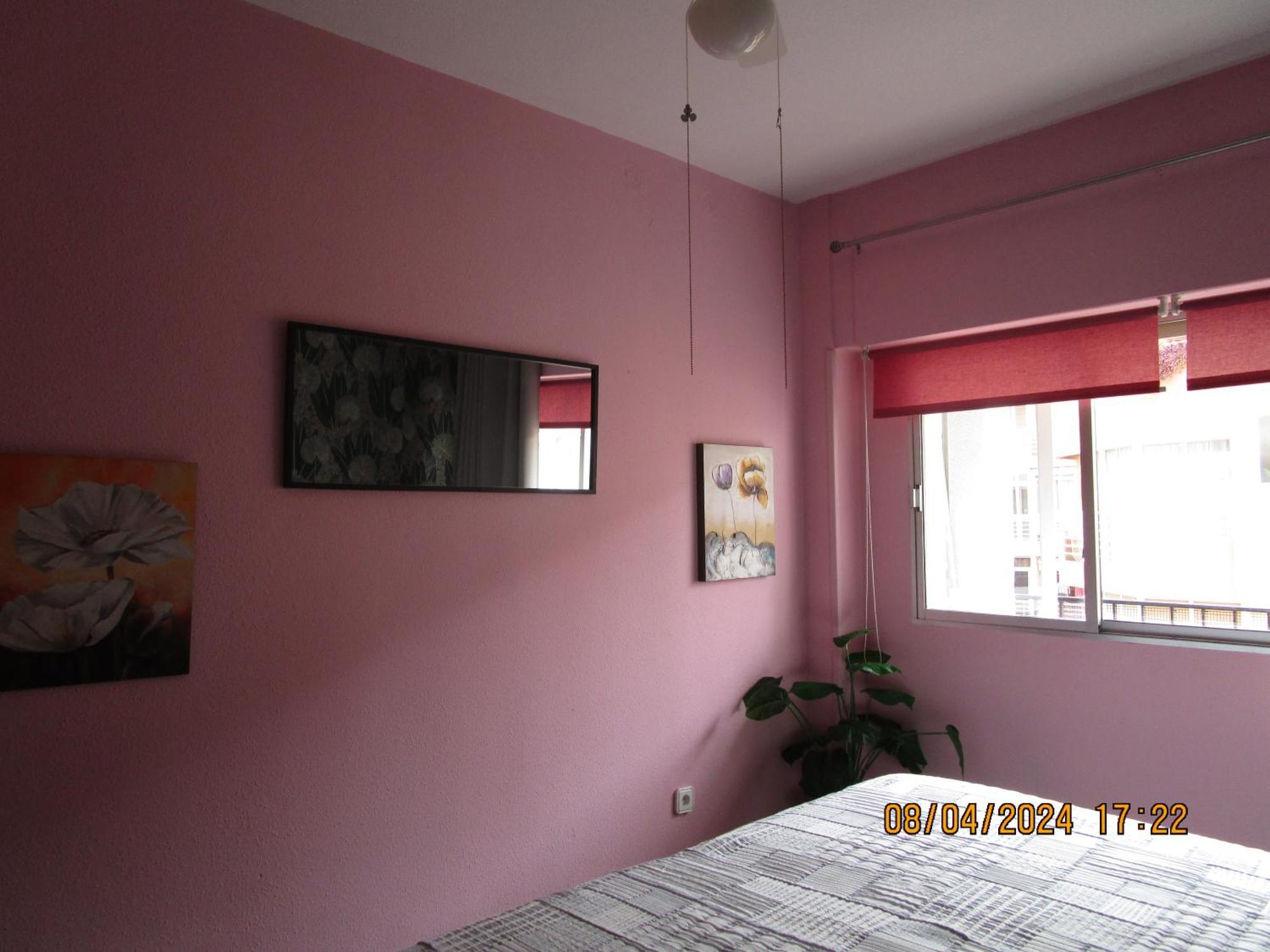 Apartamento Rosamar Torrevieja Exterior foto